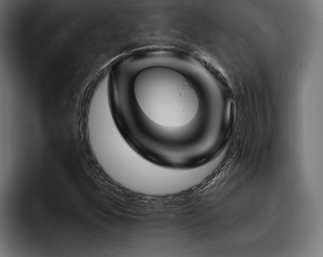 X0000093401352200710121051