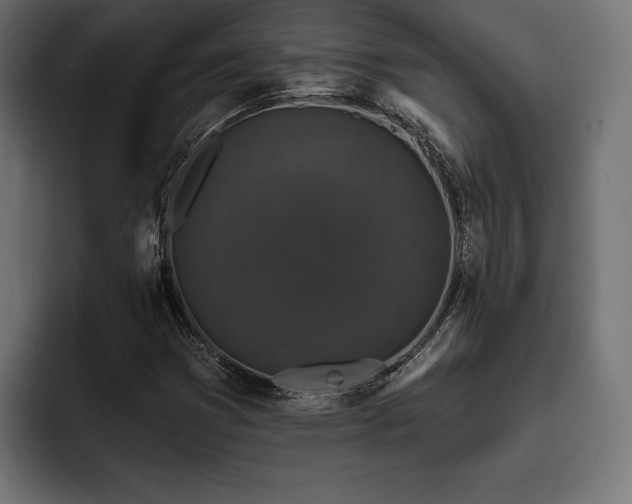X0000093401353200710121051