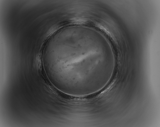 X0000093401354200710121051