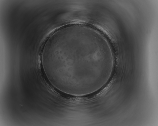 X0000093401355200710121051