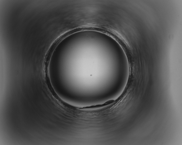 X0000093401356200710121051