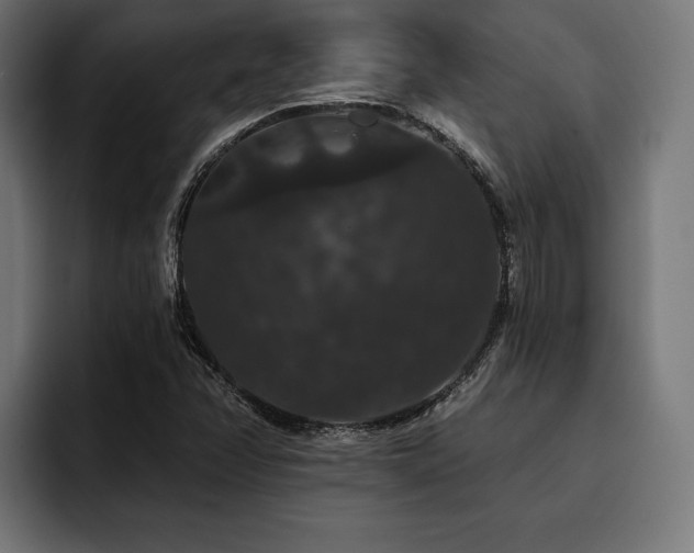 X0000093401358200710121051
