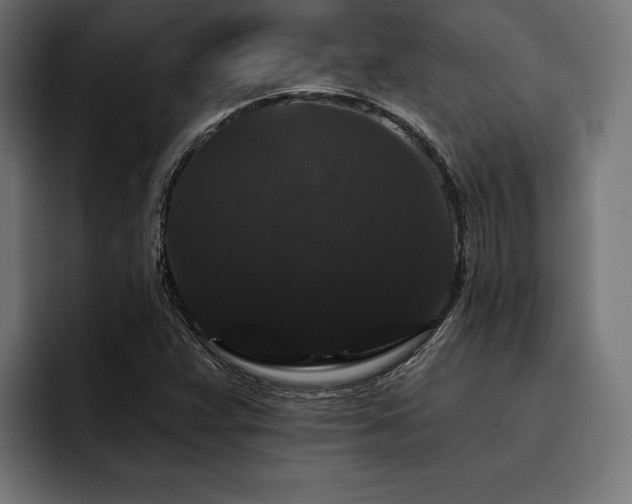 X0000093401359200710121051
