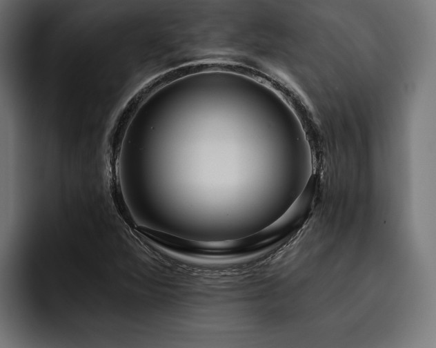 X0000093401360200710121051