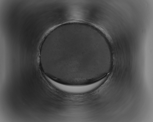 X0000093401363200710121051