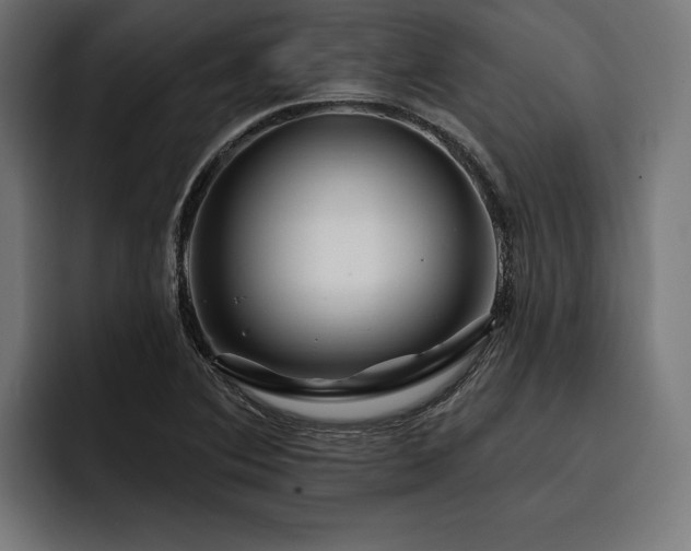 X0000093401364200710121051