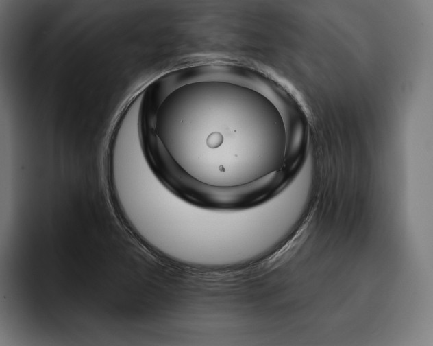X0000093401365200710121051