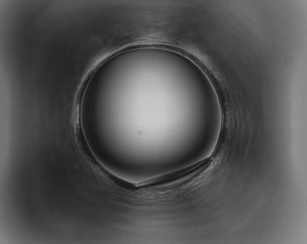 X0000093401366200710121051
