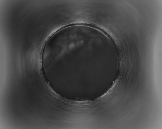 X0000093401367200710121051