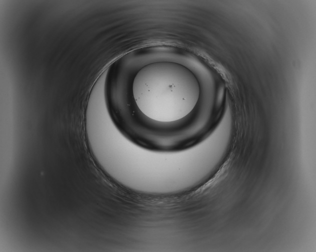 X0000093401369200710121051