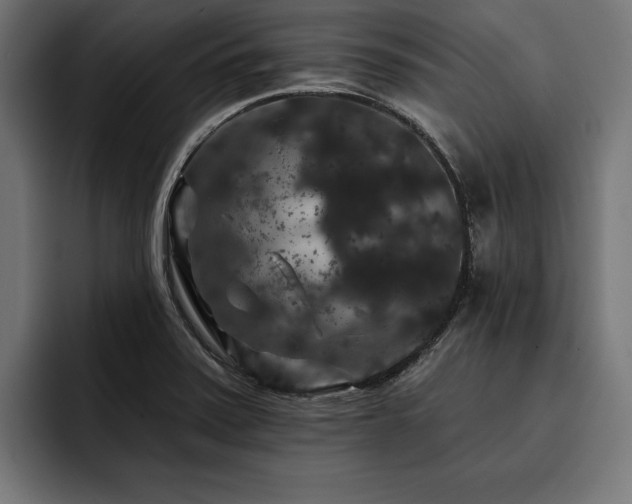 X0000093401371200710121051