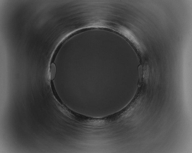 X0000093401372200710121051