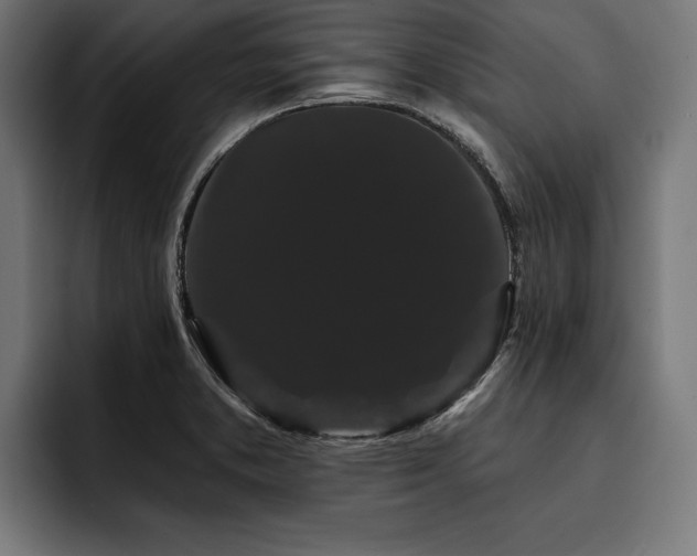 X0000093401373200710121051