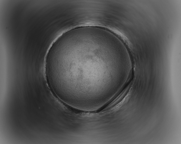X0000093401374200710121051