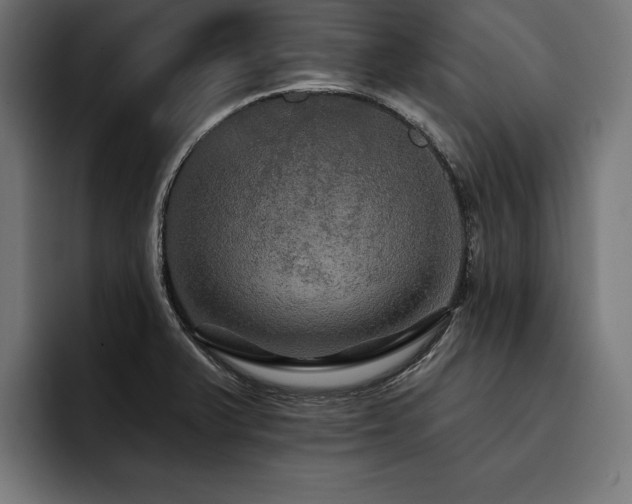 X0000093401375200710121051