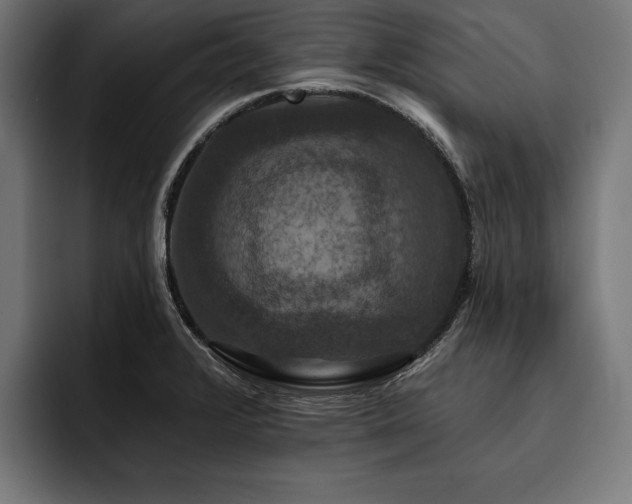 X0000093401376200710121051