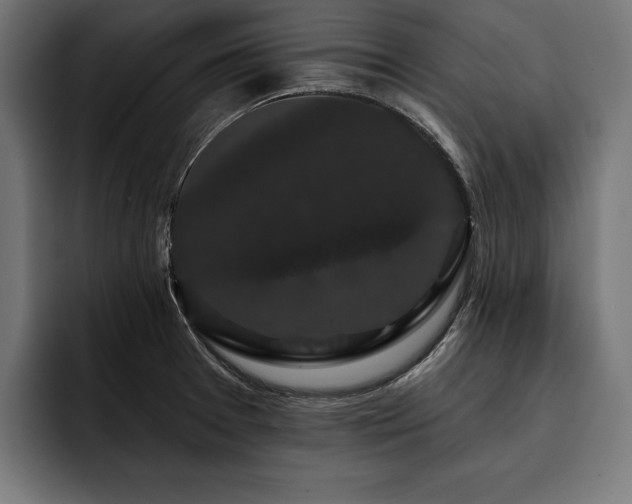 X0000093401377200710121051