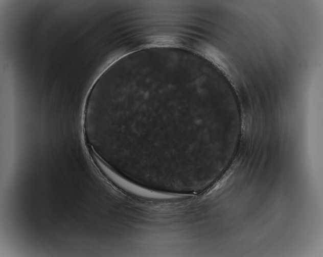 X0000093401378200710121051
