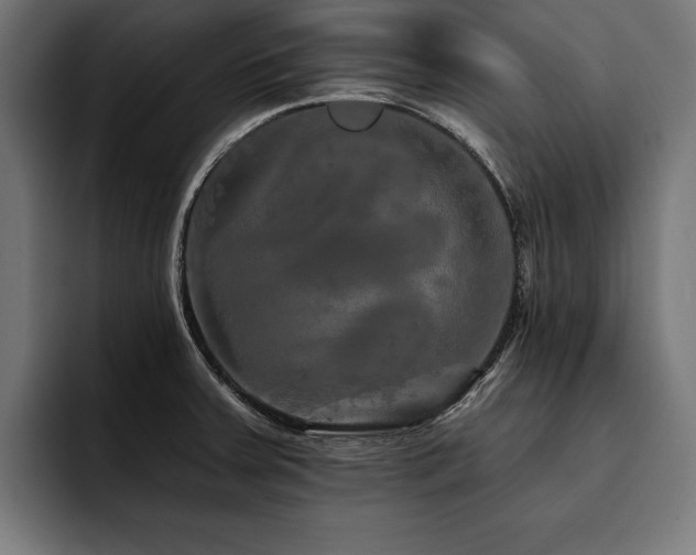 X0000093401379200710121051