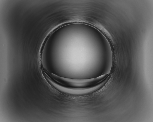 X0000093401380200710121051