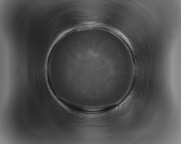 X0000093401381200710121051