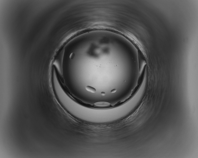 X0000093401384200710121051