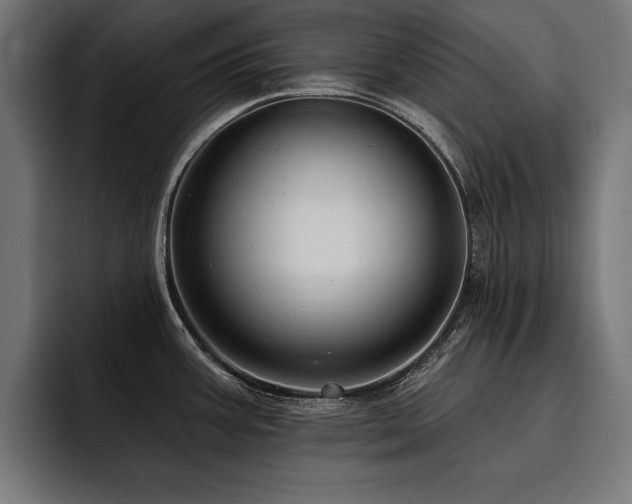 X0000093401387200710121050