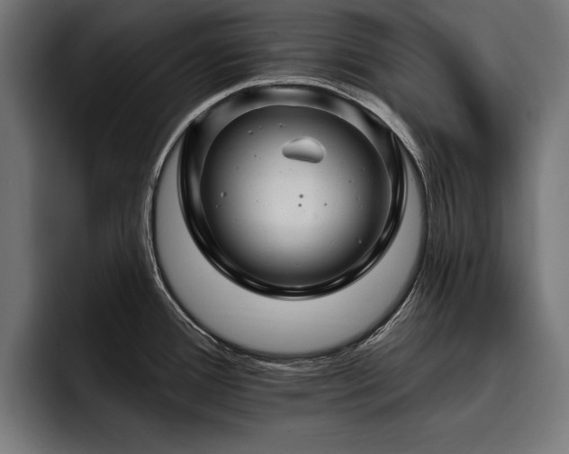 X0000093401388200710121050