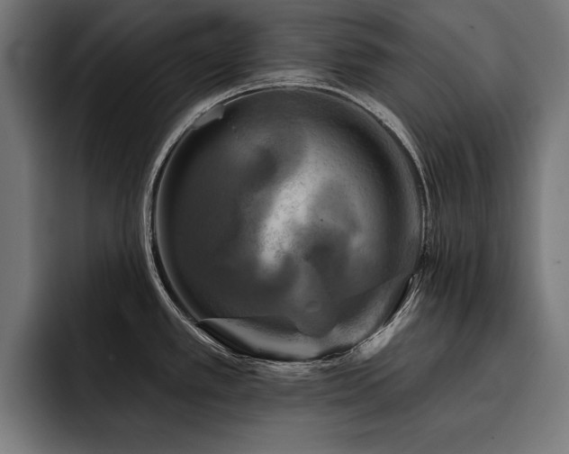 X0000093401389200710121050