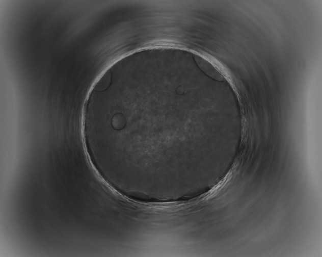 X0000093401390200710121050