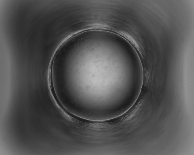 X0000093401391200710121050