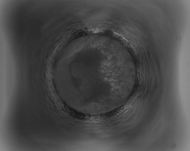 X0000093401393200710121050