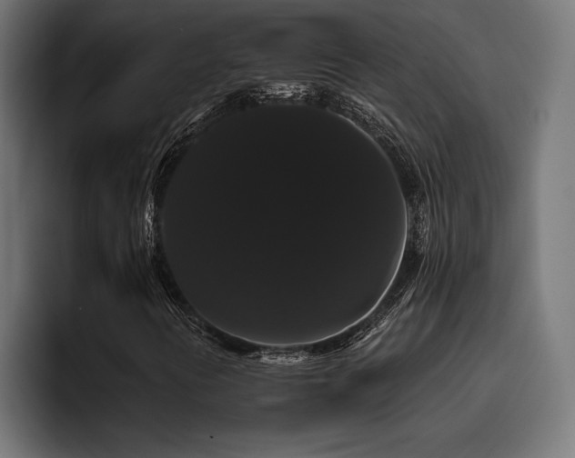 X0000093401394200710121050