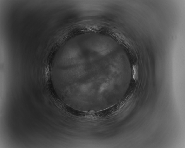 X0000093401395200710121050