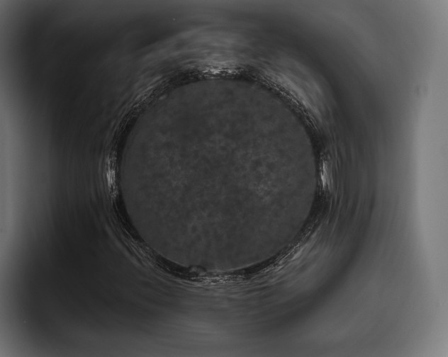 X0000093401396200710121050