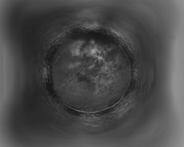 X0000093401397200710121050