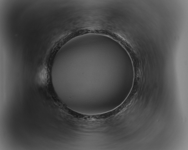 X0000093401398200710121050