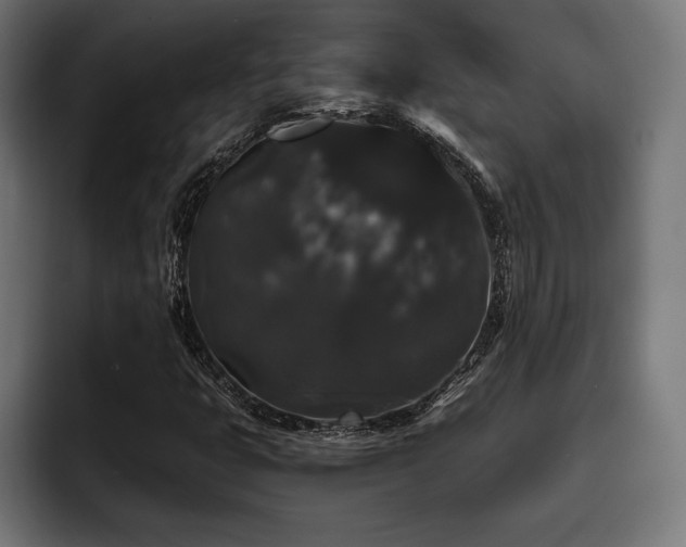 X0000093401399200710121050
