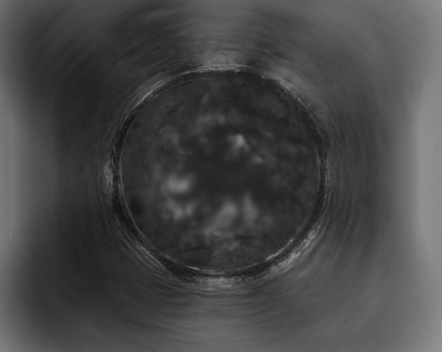 X0000093401401200710121050