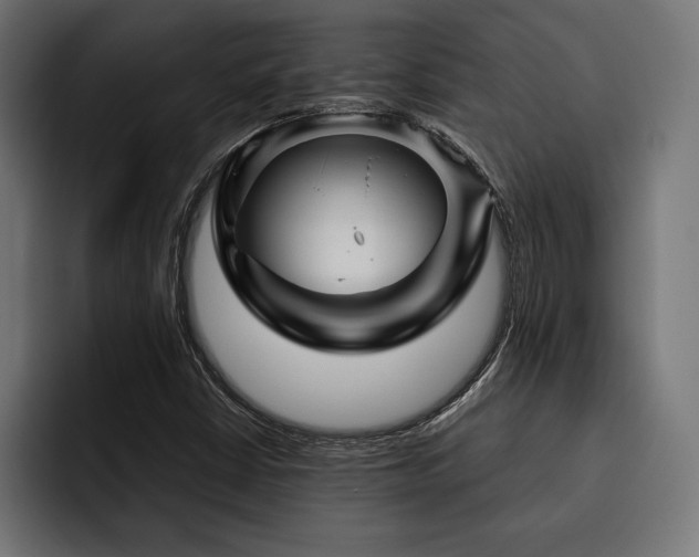 X0000093401402200710121050