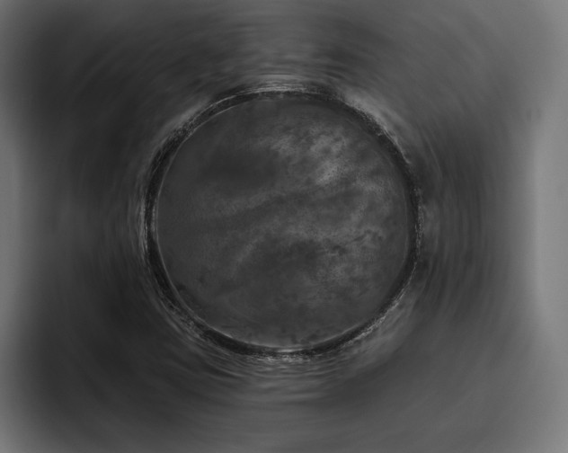X0000093401403200710121050
