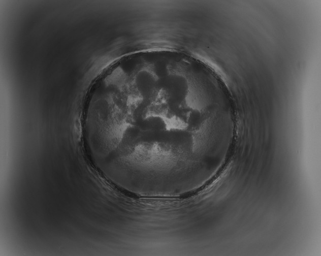 X0000093401407200710121050