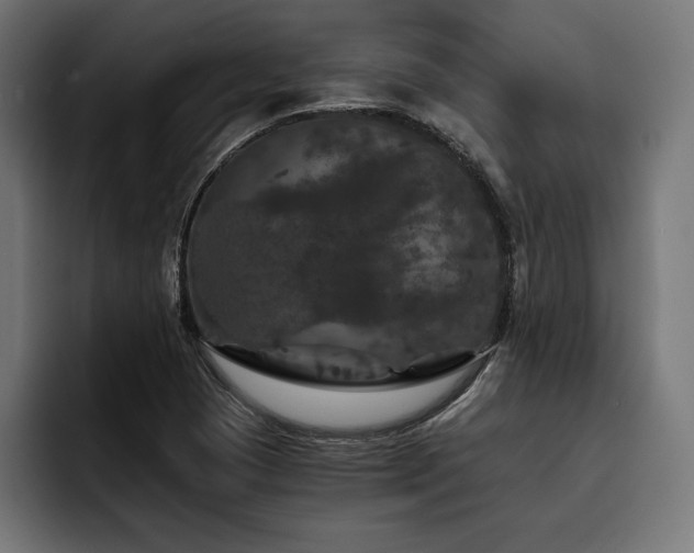 X0000093401409200710121050