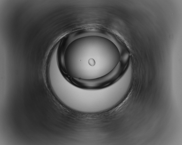 X0000093401410200710121050