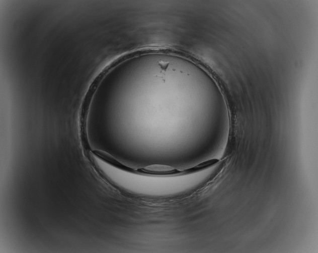 X0000093401412200710121050