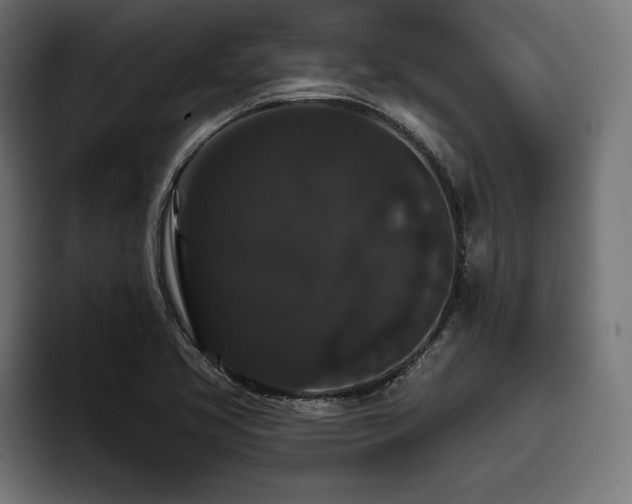X0000093401413200710121050