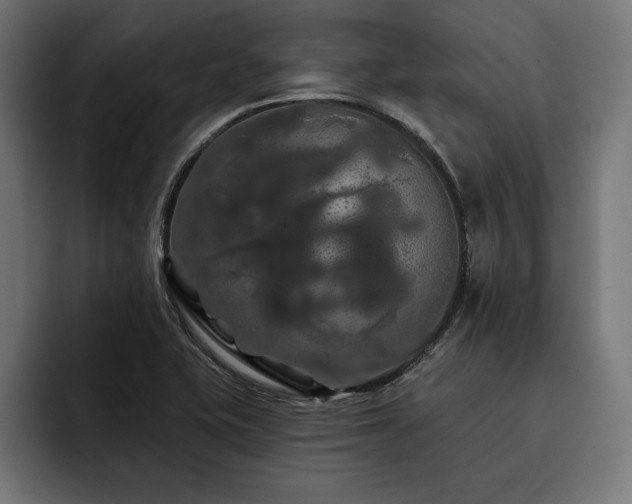 X0000093401415200710121050