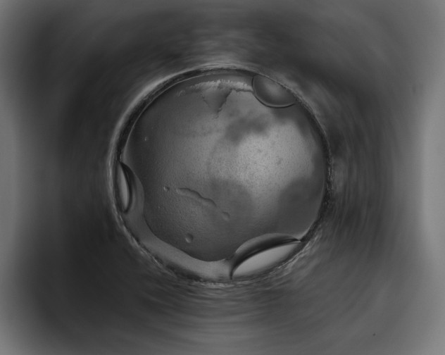 X0000093401416200710121050