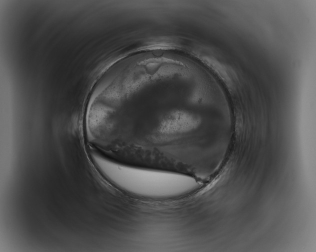 X0000093401417200710121050