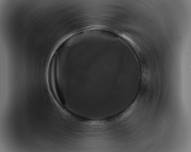 X0000093401418200710121050